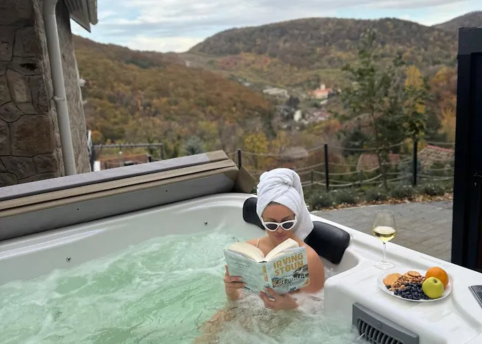 빌라 Na Vrhu Rakovac